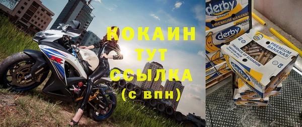 ALPHA PVP Елизово