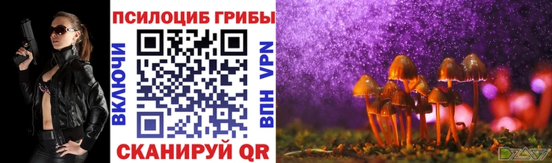 Галлюциногенные грибы Psilocybine cubensis Истра