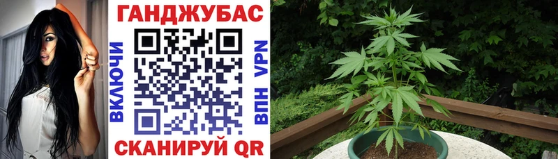 kraken рабочий сайт  где продают наркотики  Истра  Бошки марихуана гибрид 